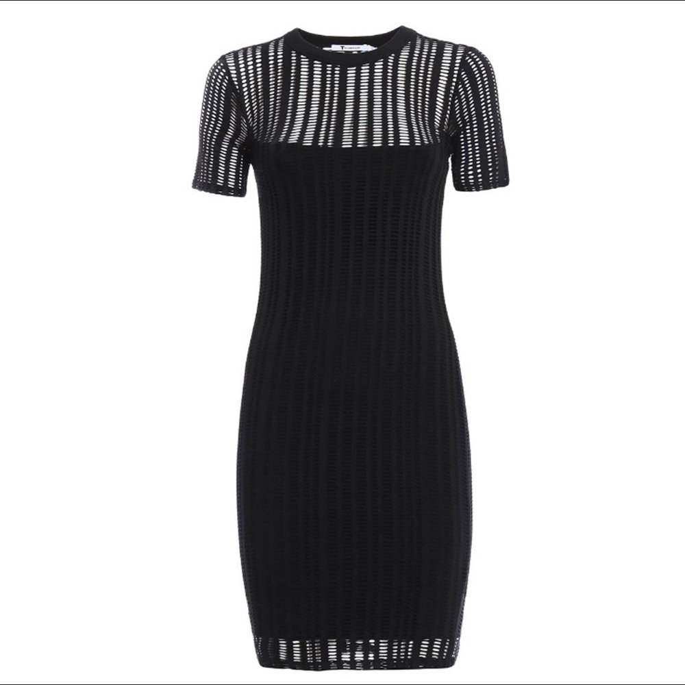 ALEXANDER WANG | XS | T by Alexander Wang Mesh Overlay Laser Cut Sheath Dress